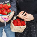 Fukuoka Strawberry Picking, Shopping and TeamLab Day Bus Tour - Who Will Love This Tour?
