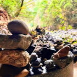 Fukuoka to Takachiho Shrine Tour with Optional Beef Lunch - Transportation, Timing, and Group Size