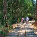 Full-day Adventurous Day In Da Lat's Nature - Practical Details and What to Expect