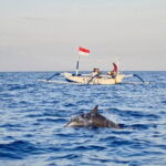 Full-Day Bali Highlights with Dolphin Tour - The Sum Up