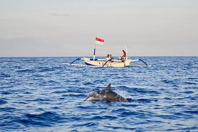 Full-Day Bali Highlights with Dolphin Tour - The Sum Up