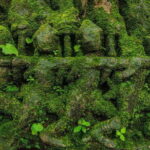 Full-Day Beng Mealea, Kbal Spean & Banteay Srei Private Tour - Who This Tour Is Best For