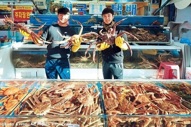 Full- day Busan private tour - The Sum Up: Is This Tour Worth It?