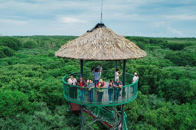 Full-Day Can Gio Mangrove Private Guided Forest Exploration - Summary: Is This Tour Worth It?