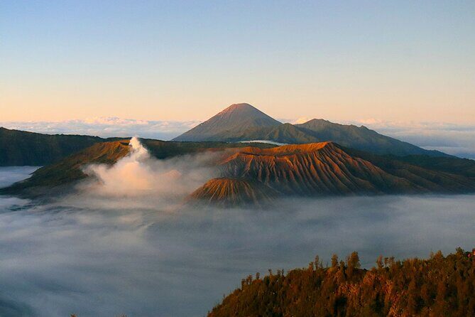 Full Day Comfort Private Bromo Tour - Who is this tour perfect for?