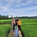 Full Day Cultural Bogor Adventure in Waterfall and Rice field - FAQ