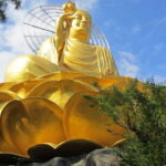 Full day Dalat cultural tour - Who Will Love This Tour?