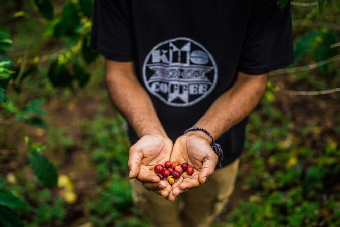 Full day Dalat tea and coffee tour - Sampling Dalat’s Wines and Historic Sites