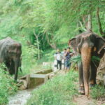 Full Day Elephant Sanctuary Mahout Experience - The Guides and Group Dynamics