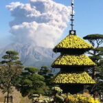 Full-Day Gastronomic Kagoshima Adventure by Private Vehicle - Who Will Love This Tour?