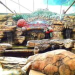 Full-day Genting Tour Enroute Batu Caves 2-way Cable Car Ride - Is This Tour Worth It?