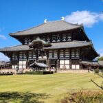 Full Day Guided Tour to Nara from Osaka by Van - Who Should Consider This Tour?