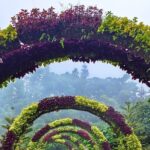 Full Day Historical Tour in Cebu City Highlands - What the Tour Includes and Excludes