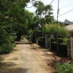 Full Day Hoi An Rural Life, Bike, Basket Boats, Farms & Fields (Private tour) - Who Should Consider This Tour?