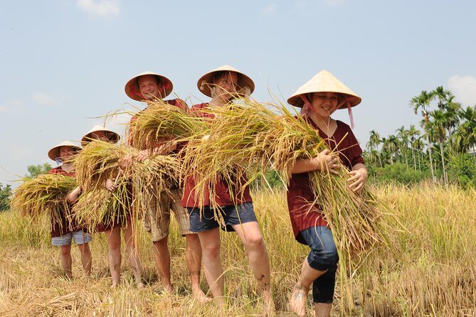 Full-Day Hoi An Town and Tra Que Vegetable Village Tour - A Full-Day Dive into Vietnam’s Rural and Historic Heartlands