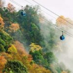 Full Day Jinfo Mountain Tour - Practical Tips for Your Visit