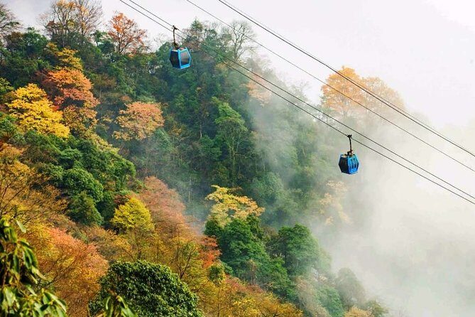 Full Day Jinfo Mountain Tour - Practical Tips for Your Visit
