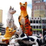Full Day JomTour! Memorable Experience in Kuching, Sarawak - Pricing and Value Analysis