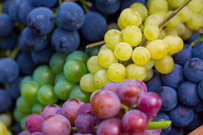 Full-Day Korean orchard tour with Lunch[Depart from Busan] - Who Should Consider This Tour?