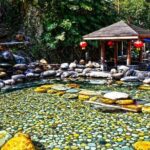 Full day Longsheng Hot Spring private day tour from Guilin or Yangshuo - Who Would Enjoy This Tour?