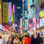 [ Full Day ] Nami Island, Petite France and Hot place Myeongdong! - What to Expect from the Experience