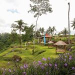 Full-Day Private Bali Back To The Village Tour with Hotel Pick Up - Why This Tour Offers Great Value