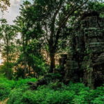 Full Day Private Banteay Chhmar Tour with Guide and Transport - Why This Tour Stands Out