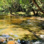 Full-day private car charter from Siem Reap city to Phnom Kulen x Beng Mealea - Who Would Love This Tour?
