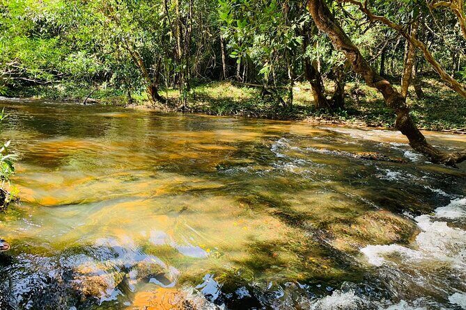 Full-day private car charter from Siem Reap city to Phnom Kulen x Beng Mealea - Who Would Love This Tour?