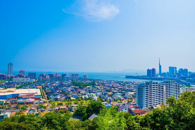 Full Day Private Shore Tour in Fukuoka from Fukuoka Cruise Port - What makes this tour stand out?