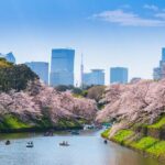 Full Day Private Shore Tour in Tokyo from Tokyo Cruise Port - Who Will Appreciate This Tour?