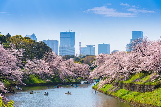 Full Day Private Shore Tour in Tokyo from Tokyo Cruise Port - Who Will Appreciate This Tour?