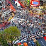 Full Day Private Tokyo Sightseeing Tour - In-Depth Look at the Itinerary