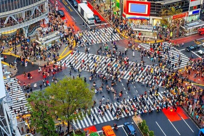 Full Day Private Tokyo Sightseeing Tour - In-Depth Look at the Itinerary