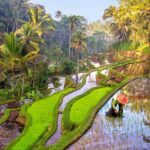 Full Day Private Tour Best of Ubud - Final Thoughts