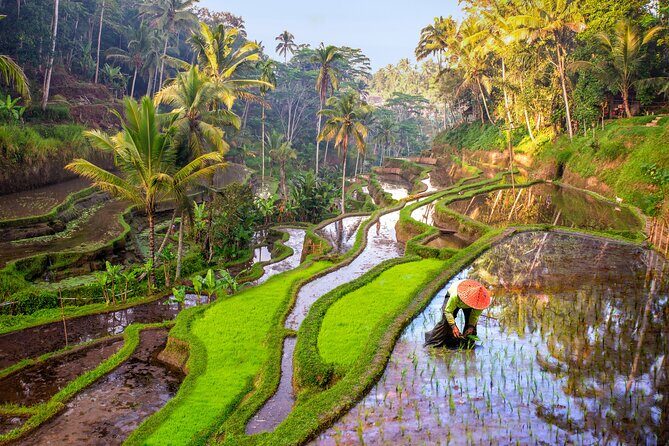 Full Day Private Tour Best of Ubud - Final Thoughts