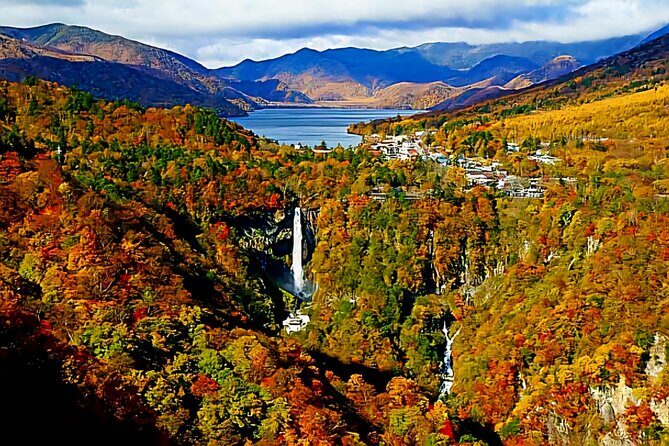 Full Day Private Tour in Nikko - Practical Details and What You Need to Know