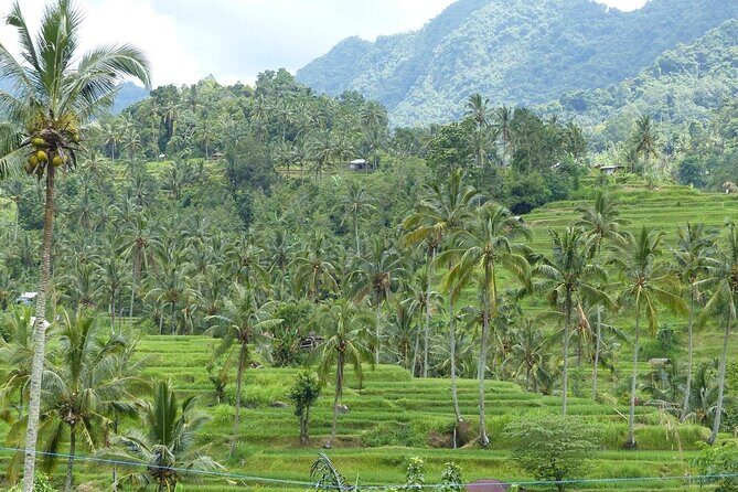 Full Day Private Tour in North Bali - Practical Details and Why They Matter
