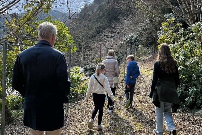 Full-day Private Tour of Miyama Thatched Village - Who Should Consider This Tour?