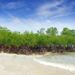 Full-Day Private Tour Siquijor Island - Detailed Breakdown of the Itinerary