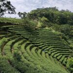Full-Day Private Tour Taipei Tamsui-Kavalan and Shiding Old Street - Journey Through Shiding: From Lakeside Views to Timeworn Streets
