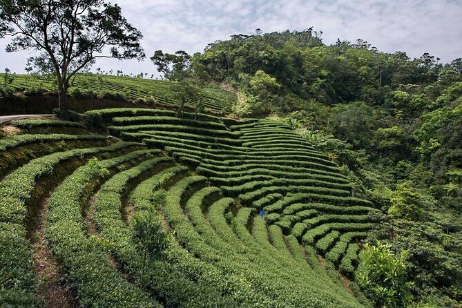 Full-Day Private Tour Taipei Tamsui-Kavalan and Shiding Old Street - Journey Through Shiding: From Lakeside Views to Timeworn Streets