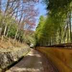Full Day Private Walking Day Tour in Kyoto with Tea - Final Thoughts