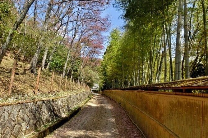 Full Day Private Walking Day Tour in Kyoto with Tea - Final Thoughts