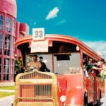 Full Day Ramoji Film City Tour with Lunch and Transfers - The Practical Side: Logistics & Value