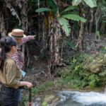 Full-Day Rescued Elephant Walk with Guide Tour in Khaolak - What Makes This Tour Stand Out?
