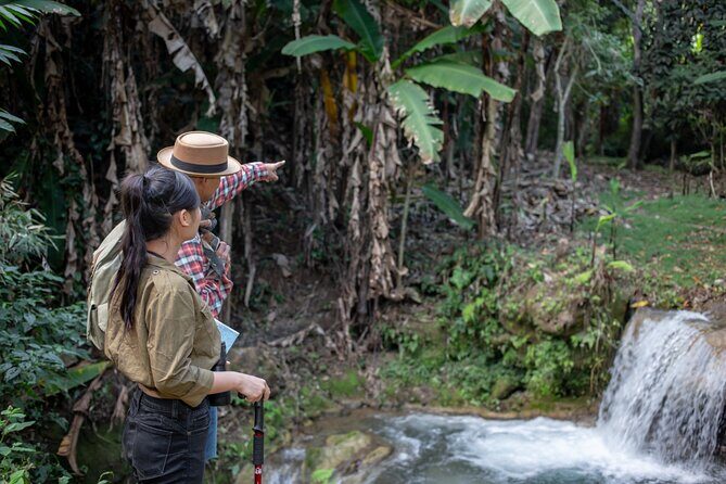 Full-Day Rescued Elephant Walk with Guide Tour in Khaolak - What Makes This Tour Stand Out?
