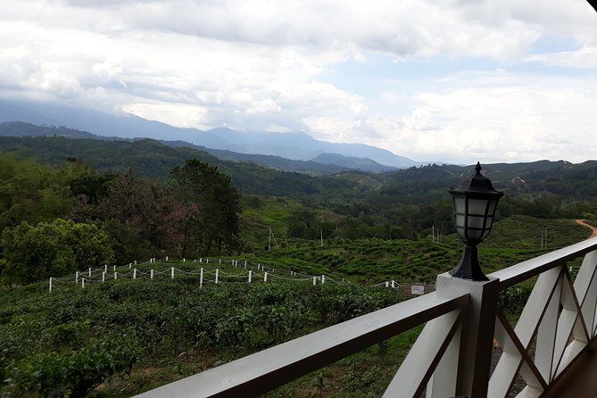 Full Day Sabah Tea Plantation & WWII Memorial - Authentic Experiences and Review Insights