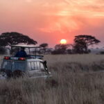 Full Day Safari in Bundala National Park With Picnic Lunch - The Itinerary Breakdown: What to Expect
