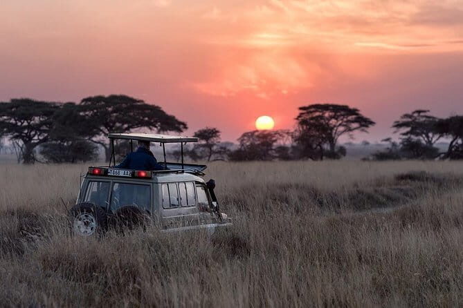 Full Day Safari in Bundala National Park With Picnic Lunch - The Itinerary Breakdown: What to Expect